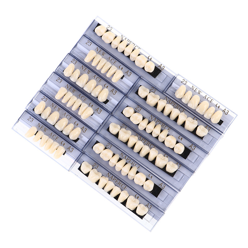 Resin Art Case - 168 قطعة/صندوق الأسنان الاصطناعية الراتنج أسنان